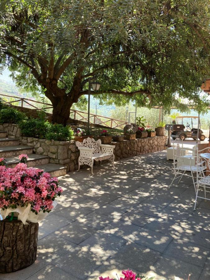 Agriturismo Nonno Luigino Vico Equense Exterior photo