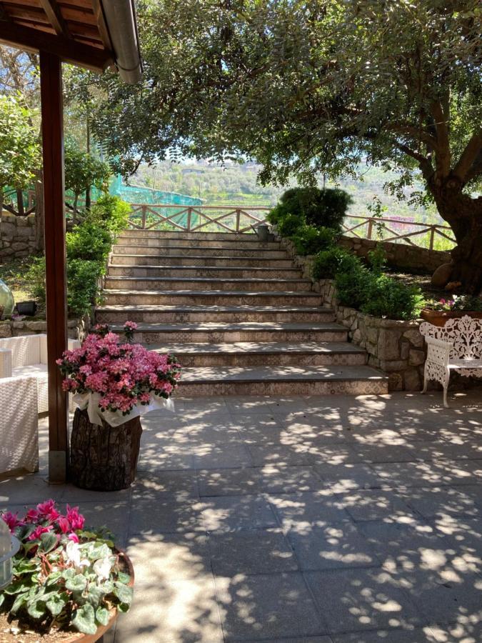 Agriturismo Nonno Luigino Vico Equense Exterior photo